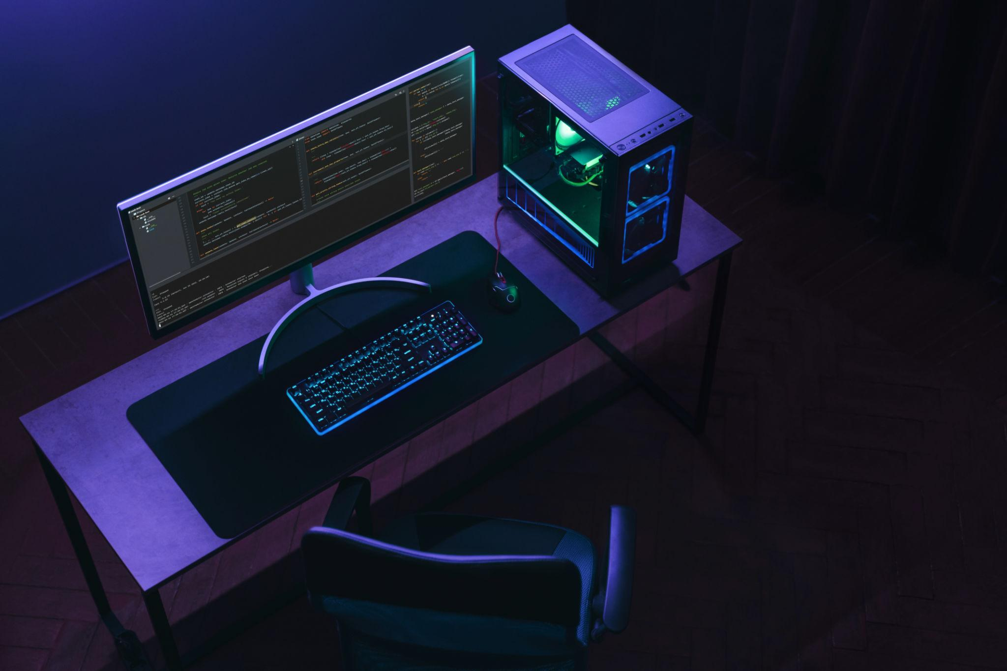 Gourmet dish plating